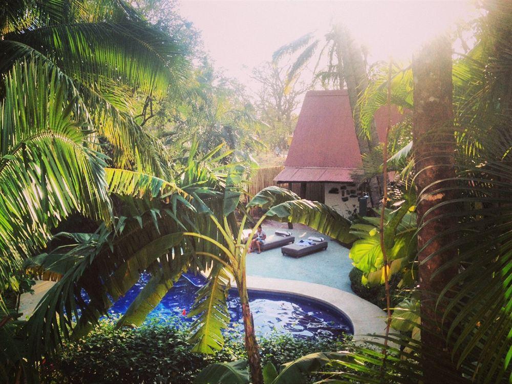 The Sunset Shack Hotell Nosara Exteriör bild