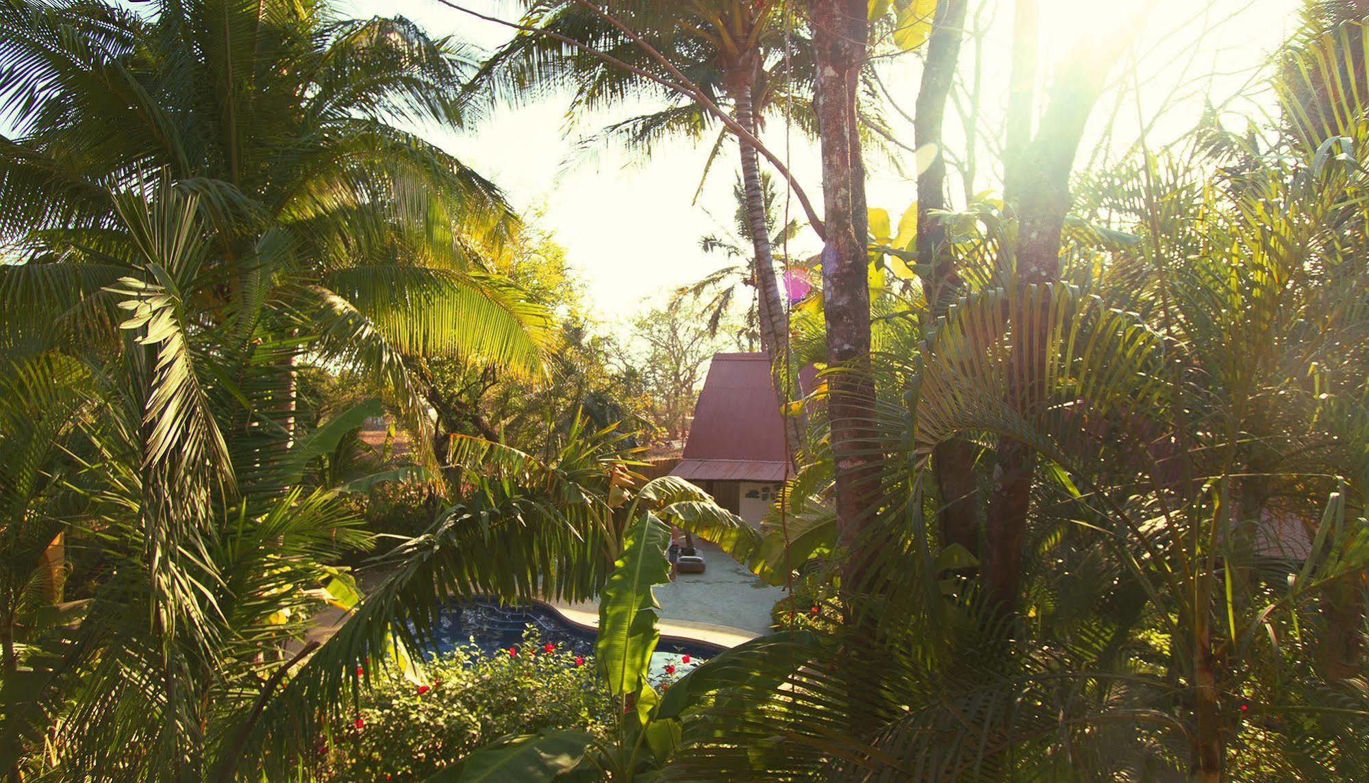 The Sunset Shack Hotell Nosara Exteriör bild