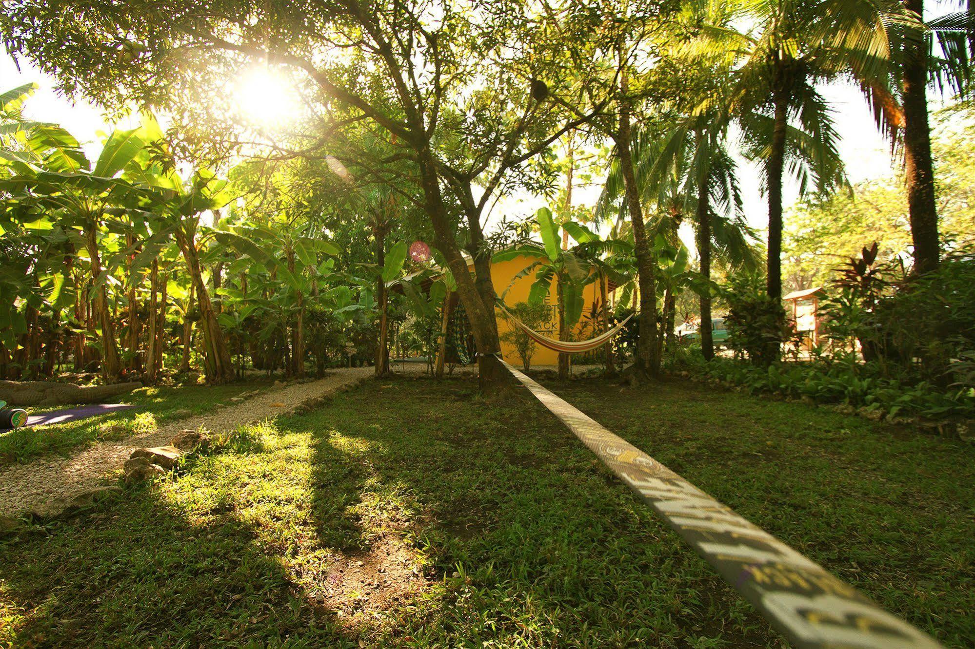 The Sunset Shack Hotell Nosara Exteriör bild