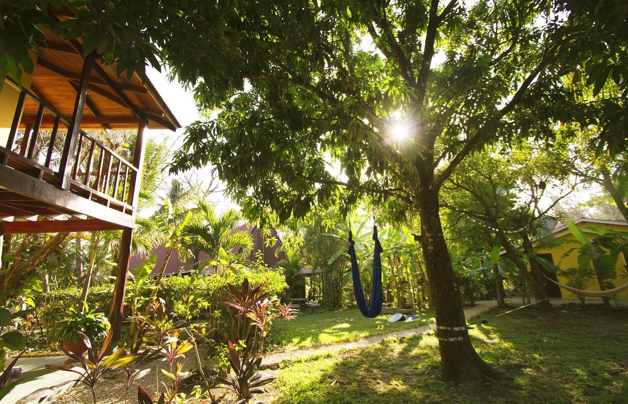 The Sunset Shack Hotell Nosara Exteriör bild